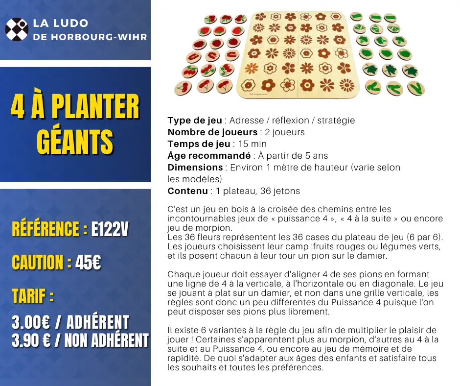 Fiche jeu