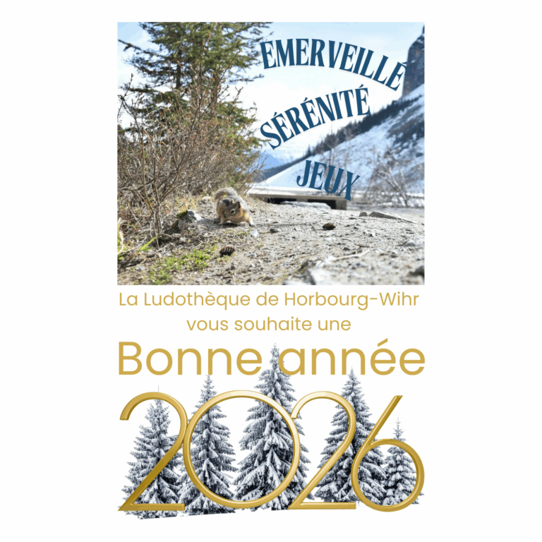 Bonne année (1)
